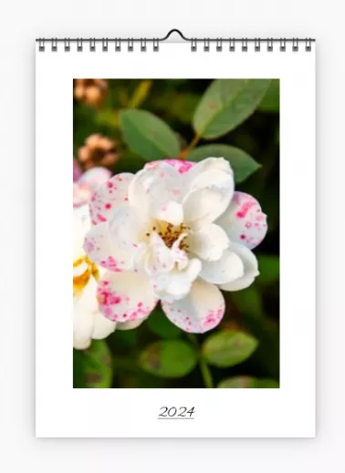 Fotokalender 2024